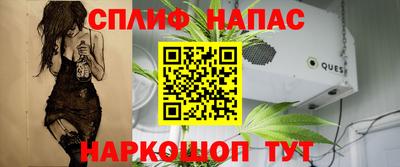 гидра Нарткала