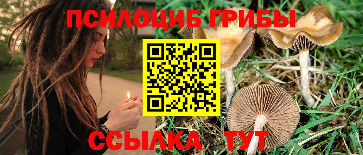Псилоцибиновые грибы GOLDEN TEACHER Фурманов